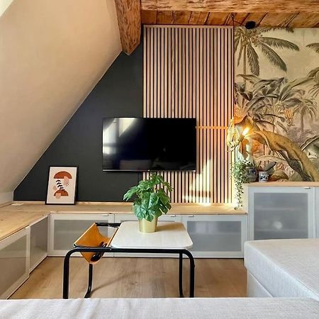Apartament L'Eden Du Vignoble - Centre Historique De Barr Zewnętrze zdjęcie