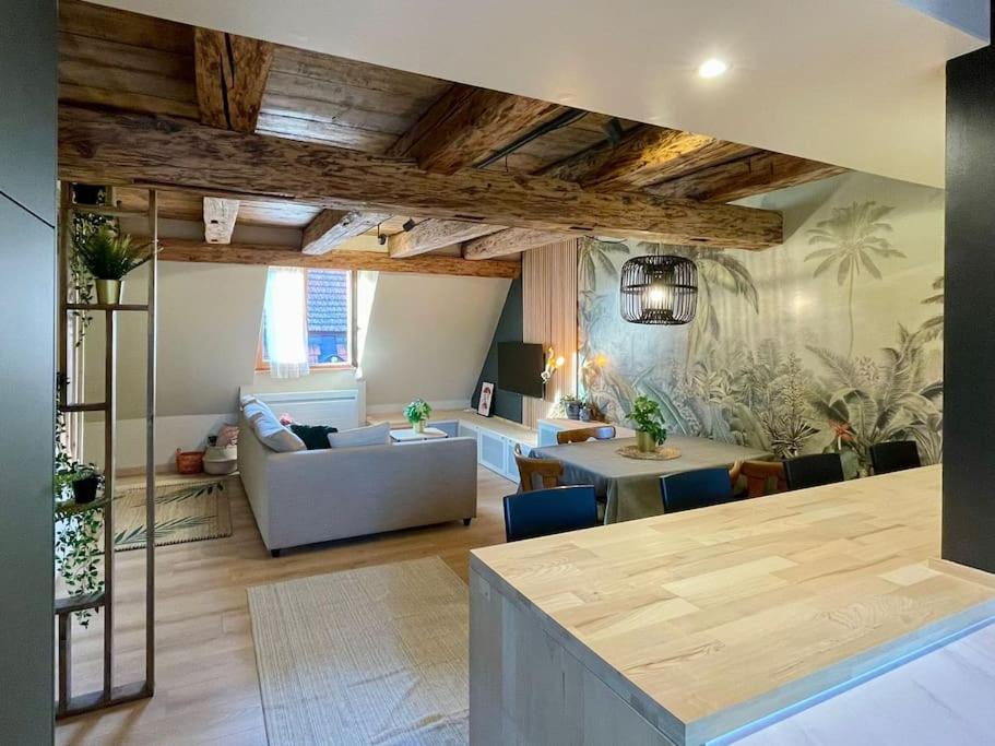 Apartament L'Eden Du Vignoble - Centre Historique De Barr Zewnętrze zdjęcie