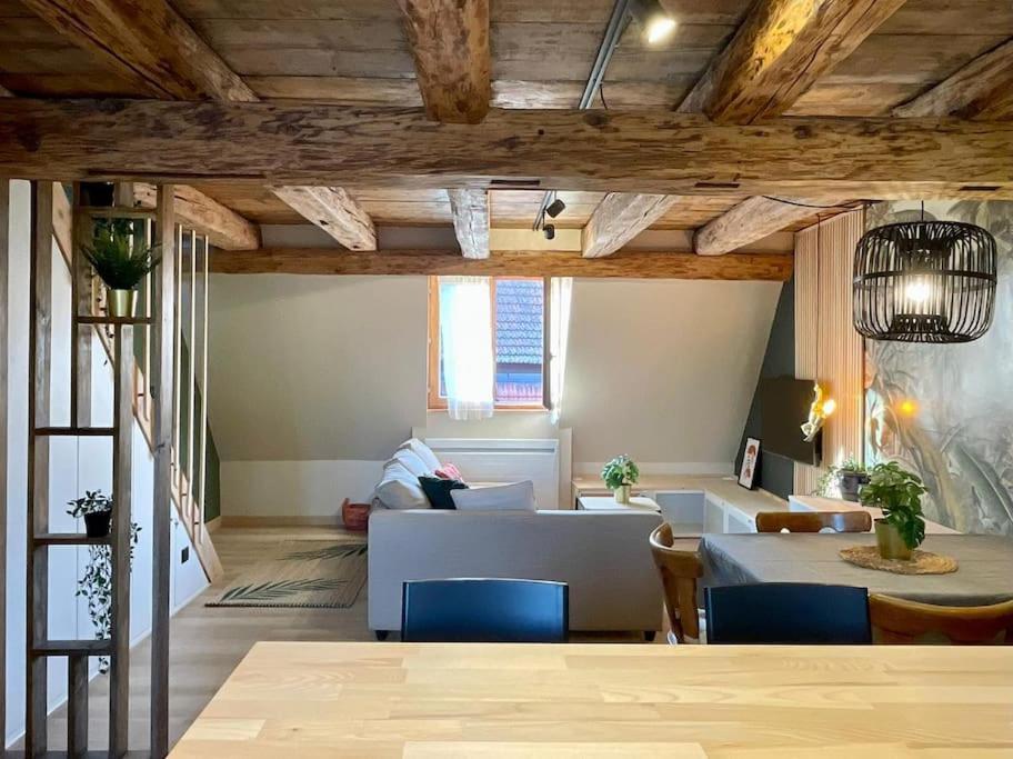Apartament L'Eden Du Vignoble - Centre Historique De Barr Zewnętrze zdjęcie