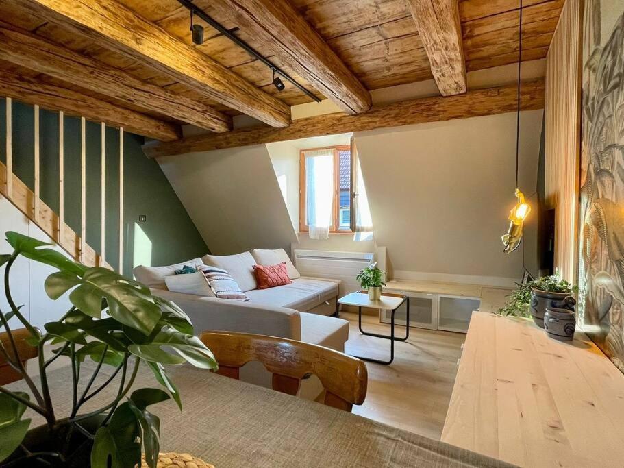 Apartament L'Eden Du Vignoble - Centre Historique De Barr Zewnętrze zdjęcie