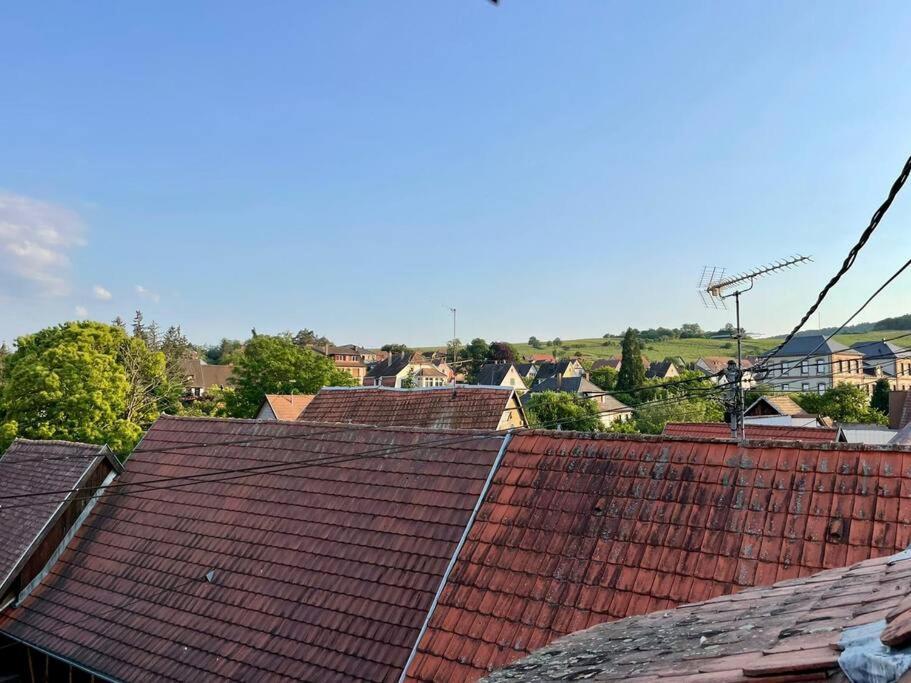 Apartament L'Eden Du Vignoble - Centre Historique De Barr Zewnętrze zdjęcie